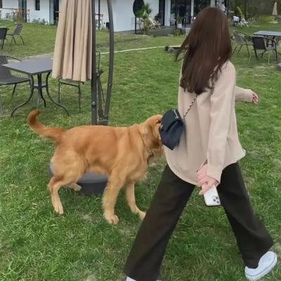 续·社长洋行记
