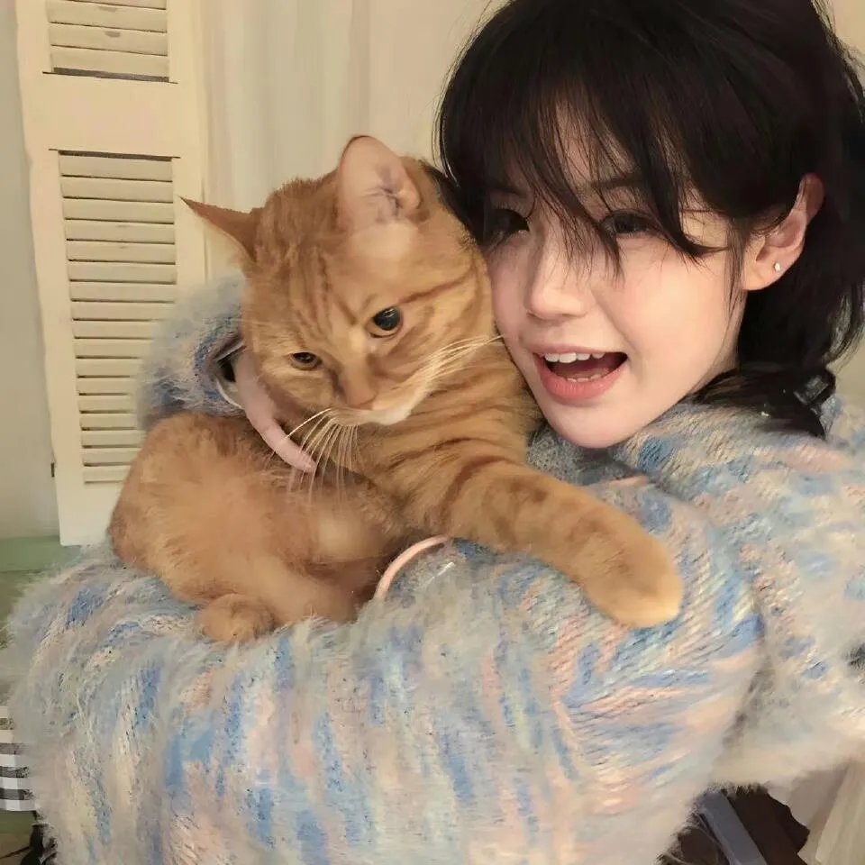 奇怪的猫咪